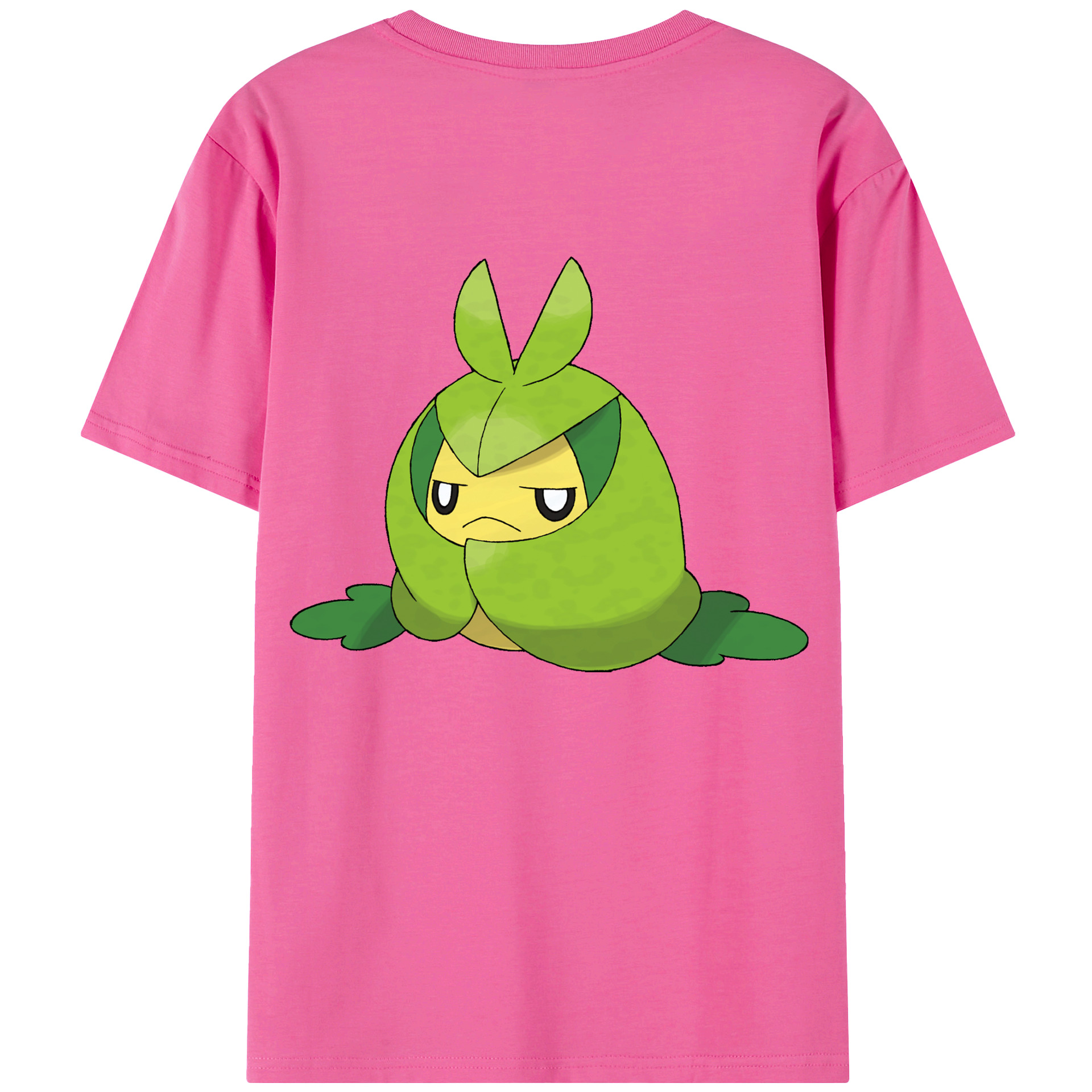 （画像用） ポケットモンスター Pokémon レディース半袖Tシャツ(バックプリント)